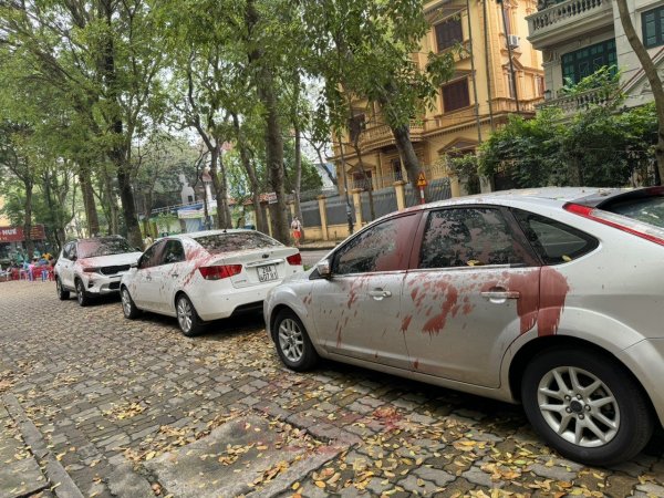 Đã bắt được các đối tượng tạt sơn đỏ lên xe đỗ tại chung cư ở Hà Nội
