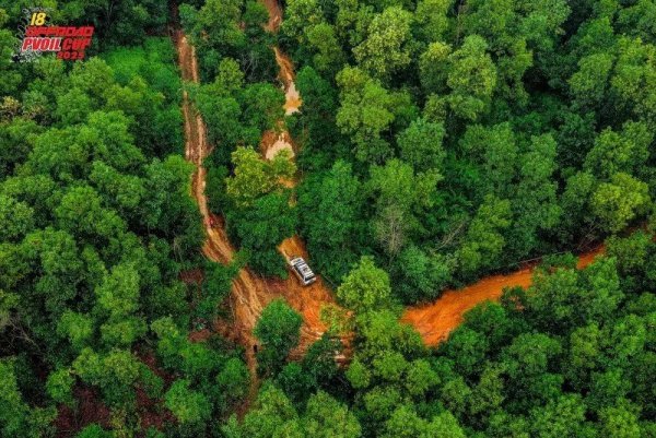 Những đường đua tuyệt đối điện ảnh tại giải PVOIL VOC 2025