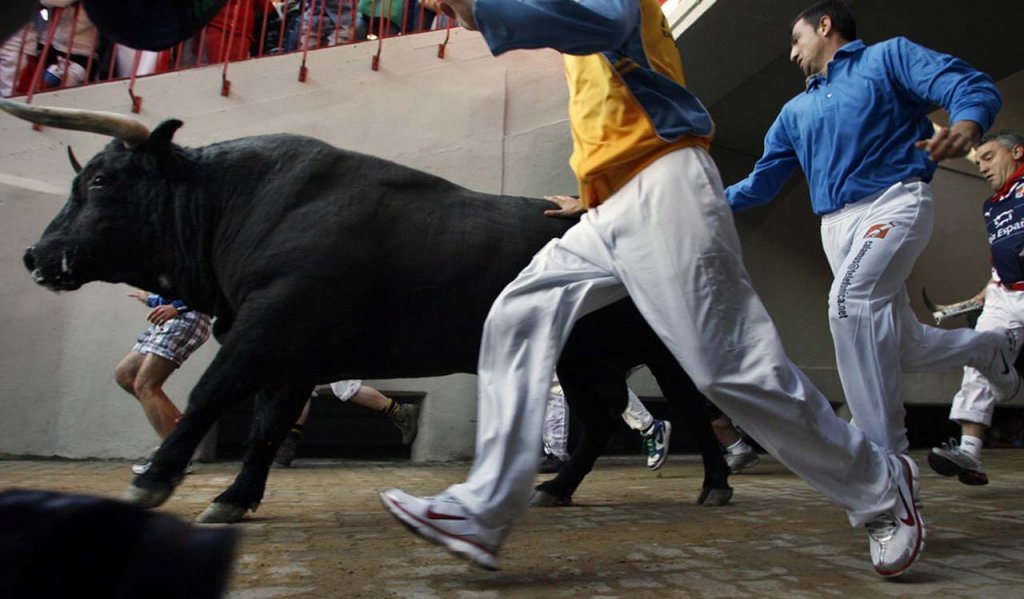 Gazan crazy bulls. Арена для боя Быков Памплона.