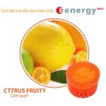 citrus-fruity-icon-1.jpg