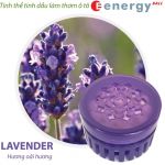 lavender-icon-700.jpg