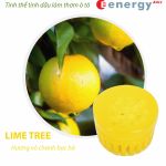 lime-tree-icon.jpg