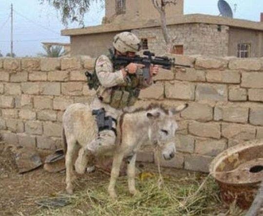 Army-Shooting-Gun-On-Donkey-Very-Funny-Picture.jpg