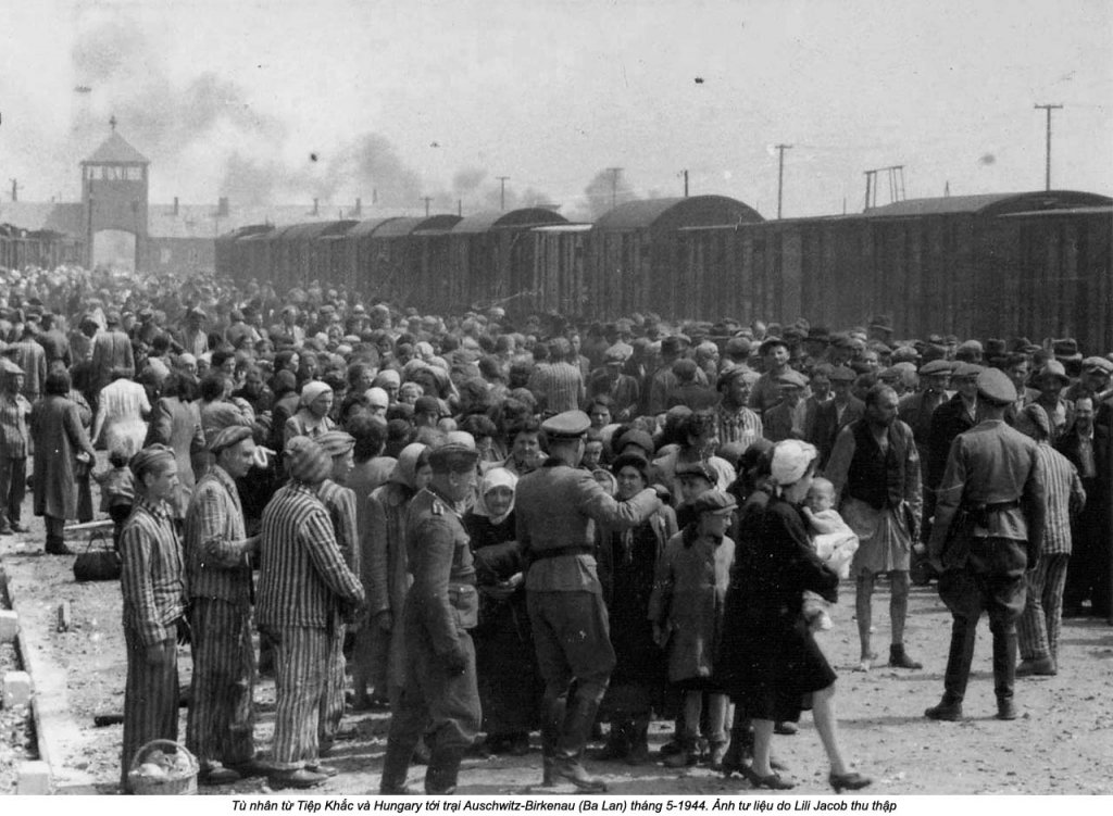 Auschwitz (59).jpg