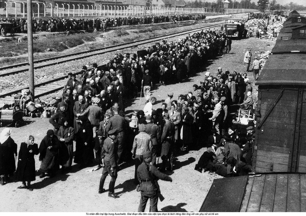 Auschwitz (56).jpg