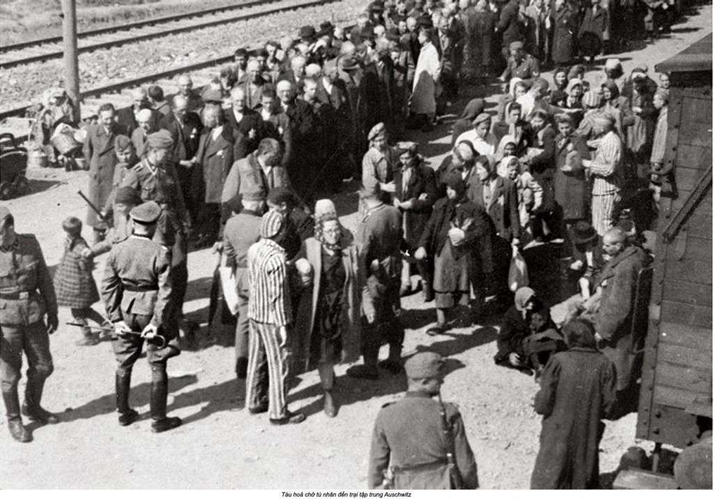 Auschwitz (58).jpg