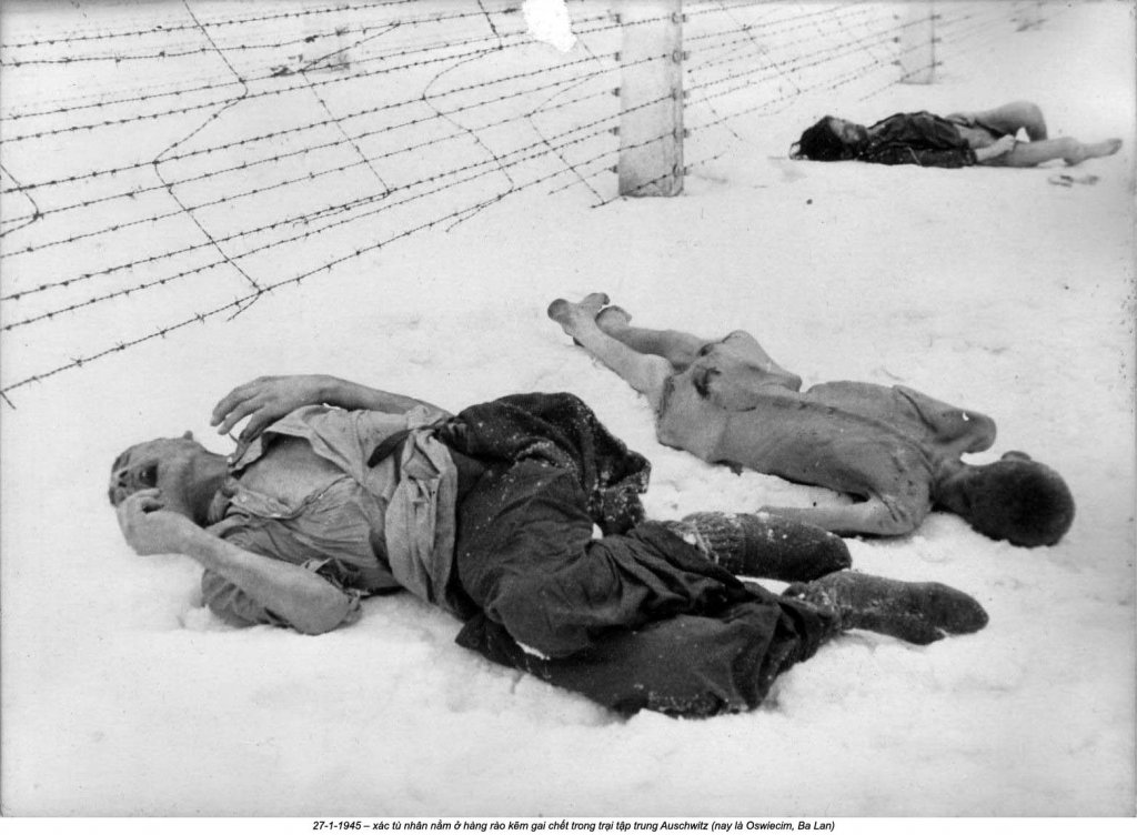 Auschwitz (84).jpg