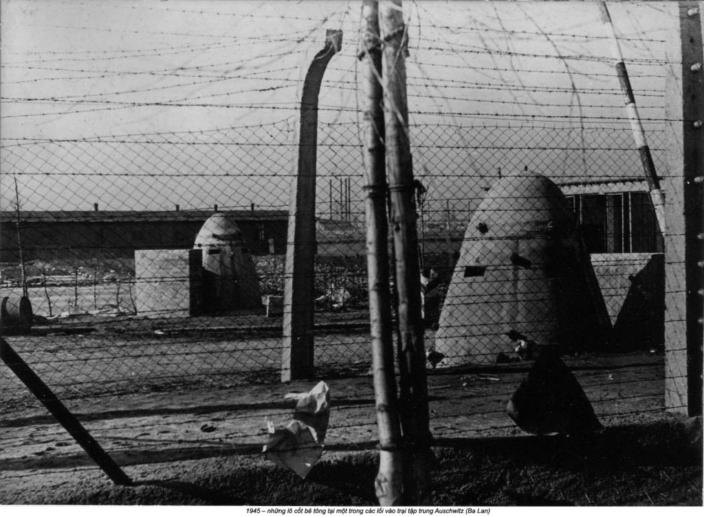 Auschwitz (90).jpg