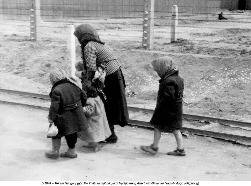 Auschwitz (93).jpg