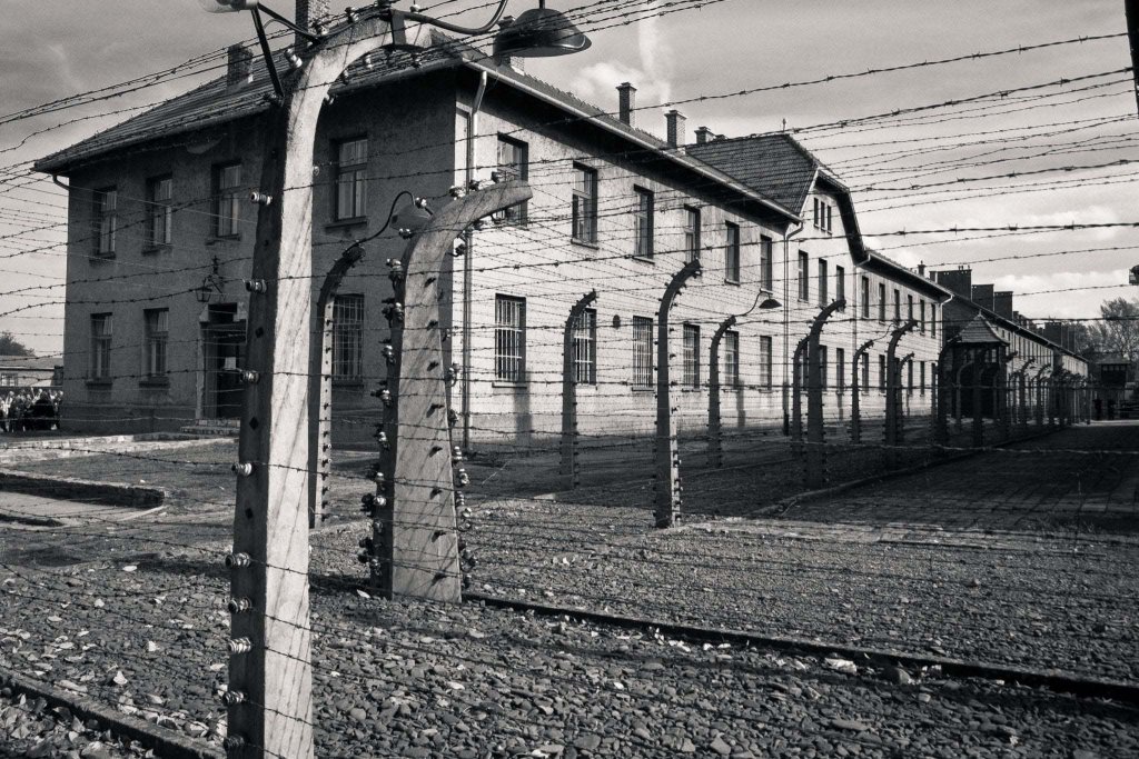 Auschwitz (8_3_4).jpg