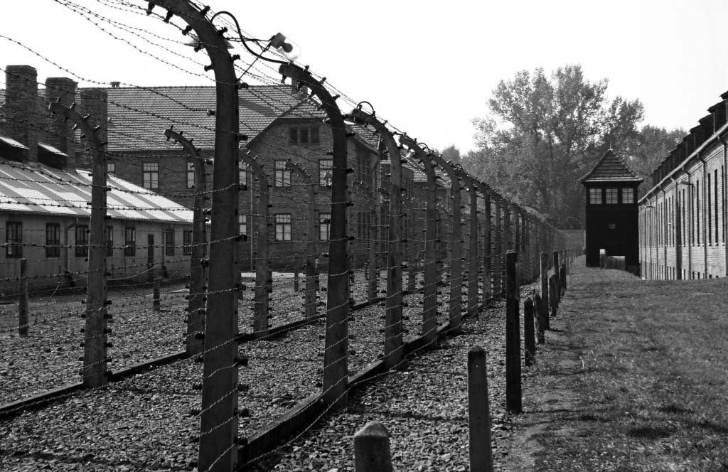 Auschwitz (8_3_5).jpg