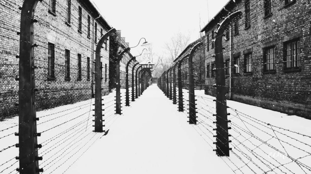 Auschwitz (8_4_3).jpg