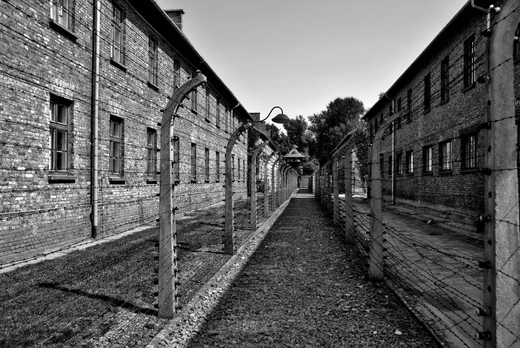 Auschwitz (8_4_4_).jpg