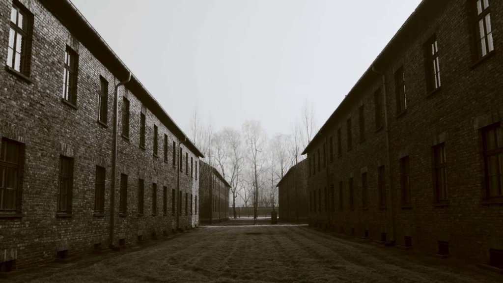 Auschwitz (8_4_5).jpg