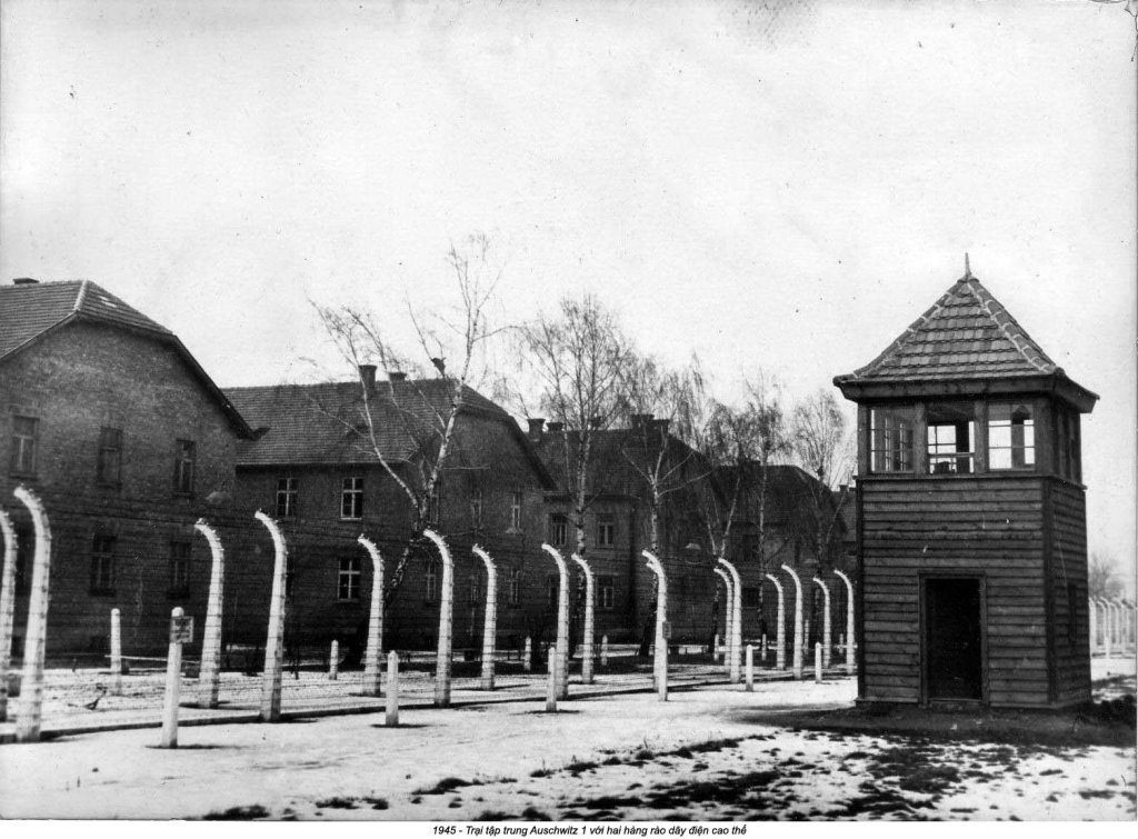 Auschwitz (8_4_9).jpg