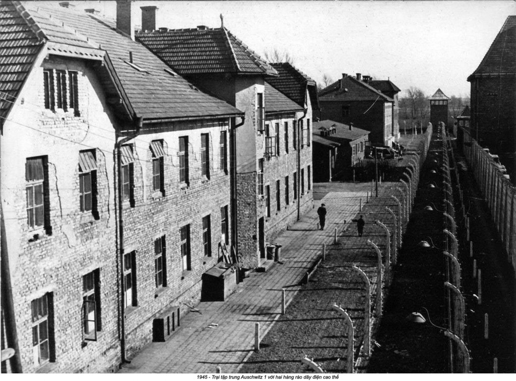 Auschwitz (8_4_10).jpg