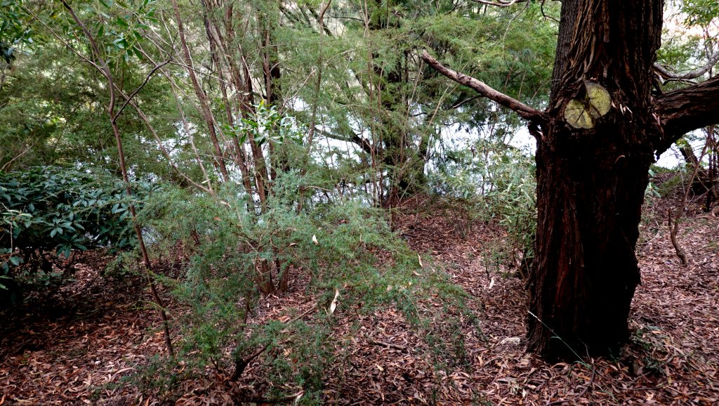 DSC00713.JPG