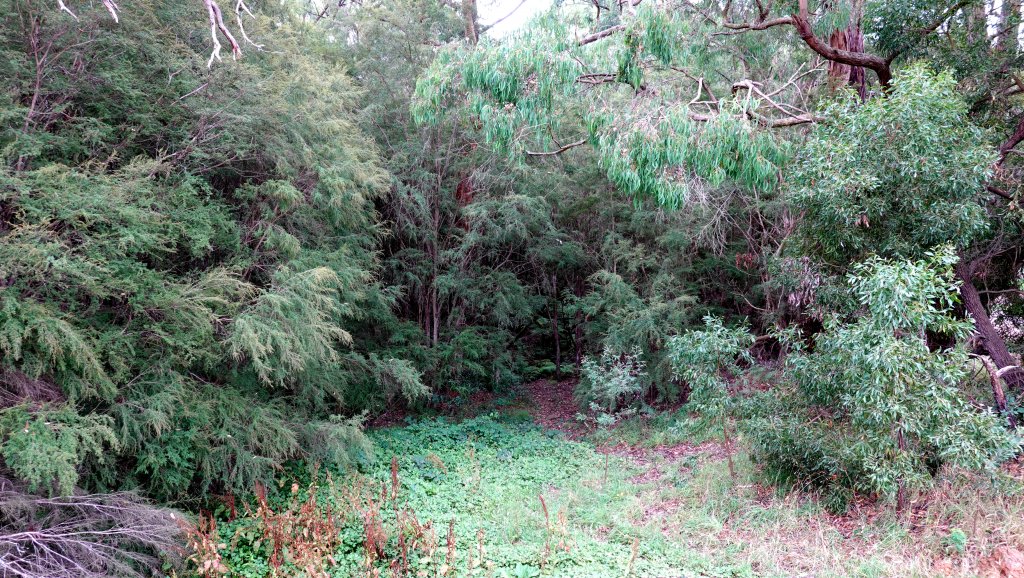 DSC00708.JPG