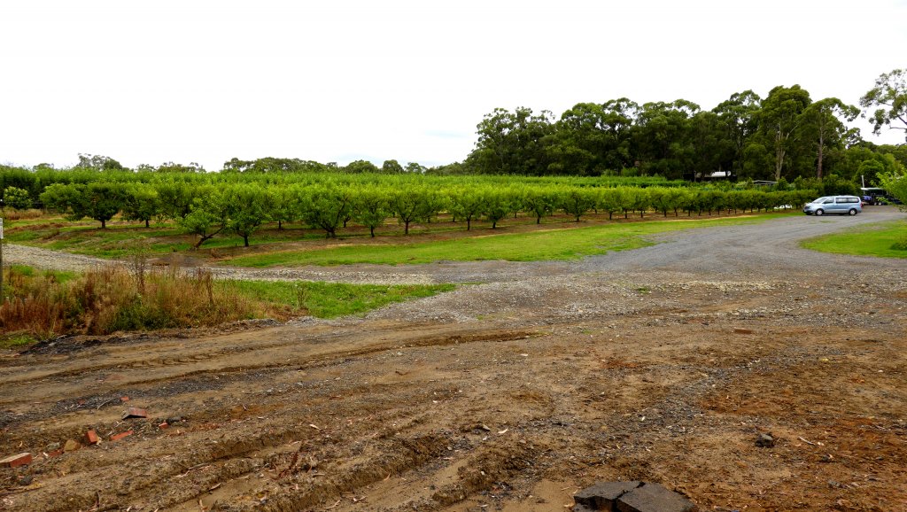 DSC00711.JPG