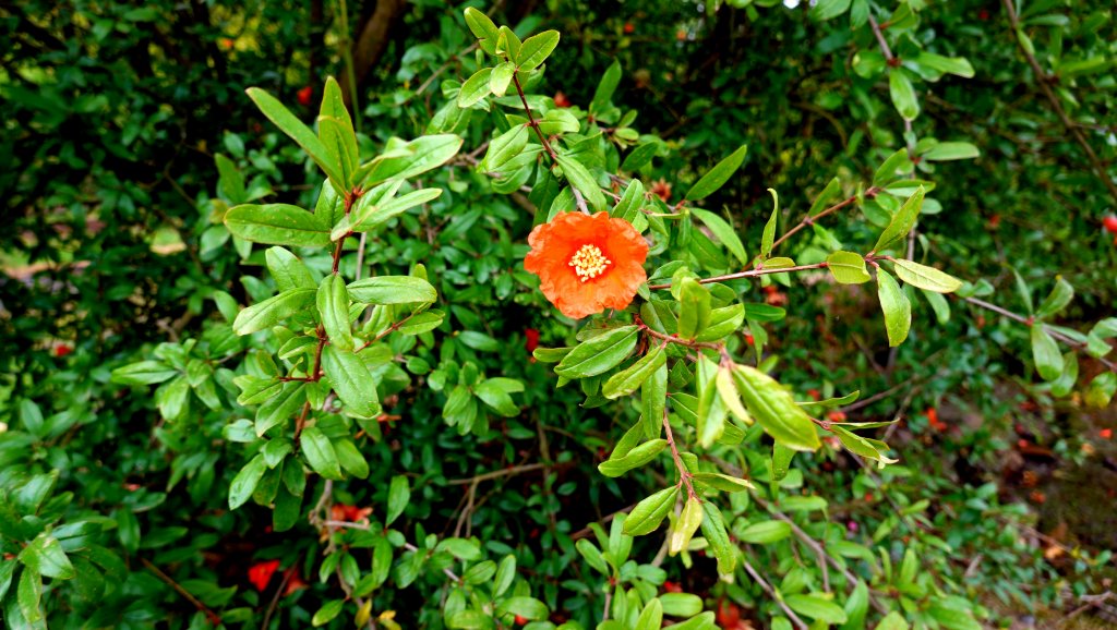 DSC00689.JPG