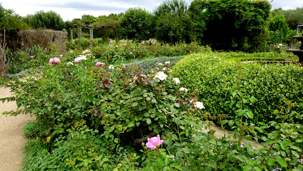 DSC00732.JPG