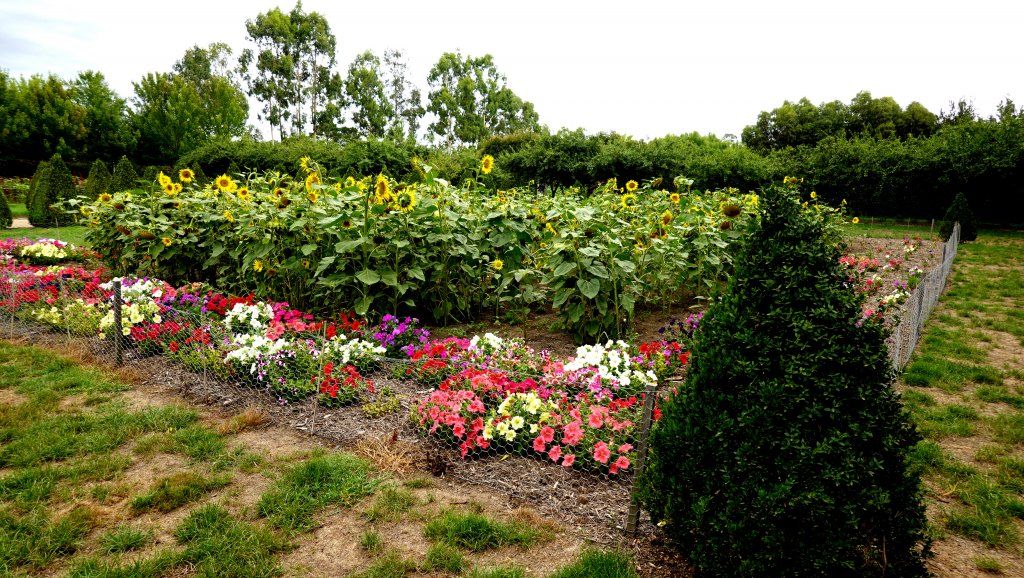 DSC00751.JPG