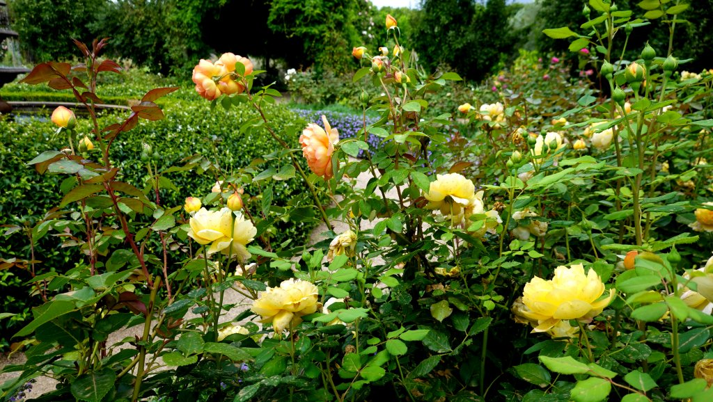 DSC00743.JPG