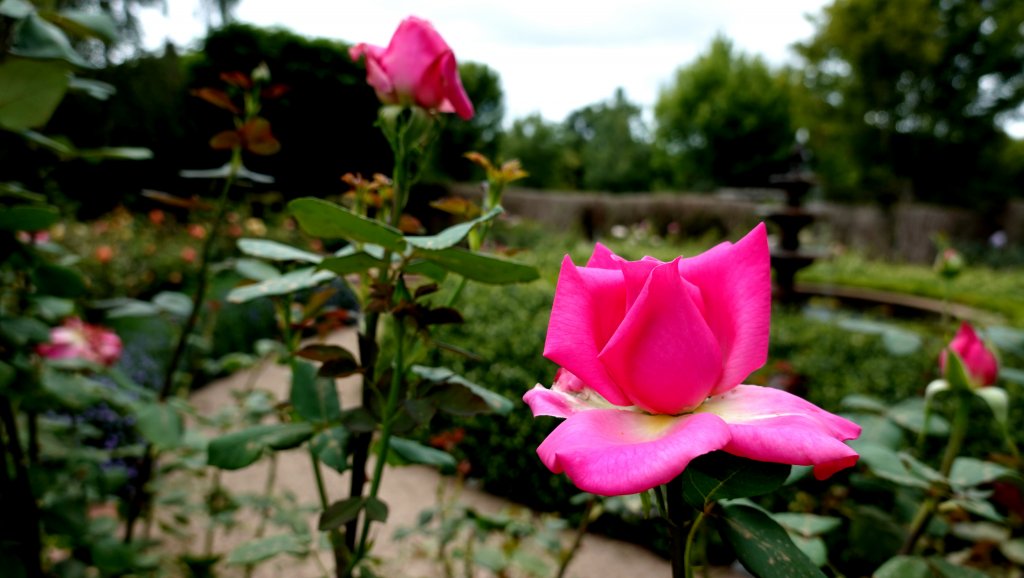 DSC00741.JPG