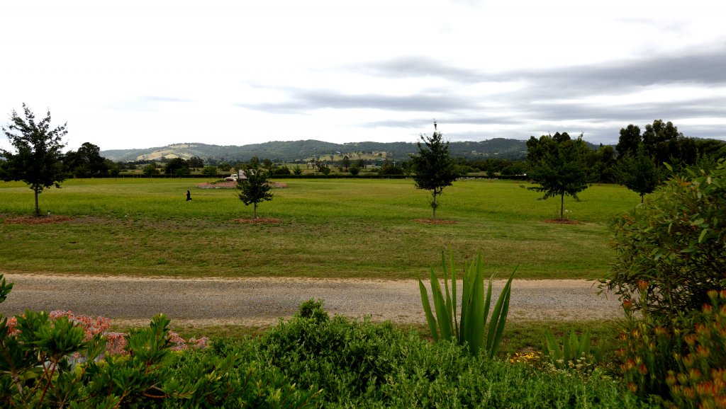 DSC00786.JPG