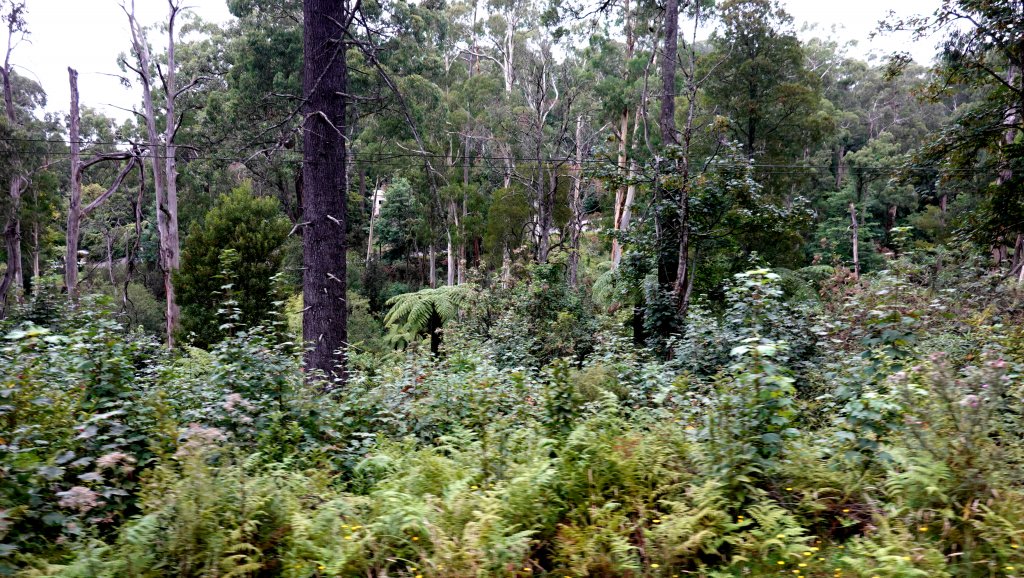 DSC00630.JPG