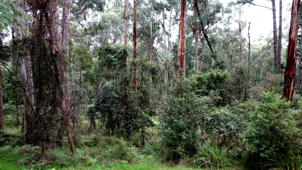 DSC00645.JPG
