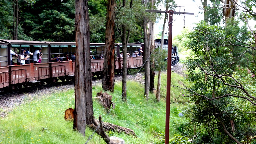 DSC00651.JPG