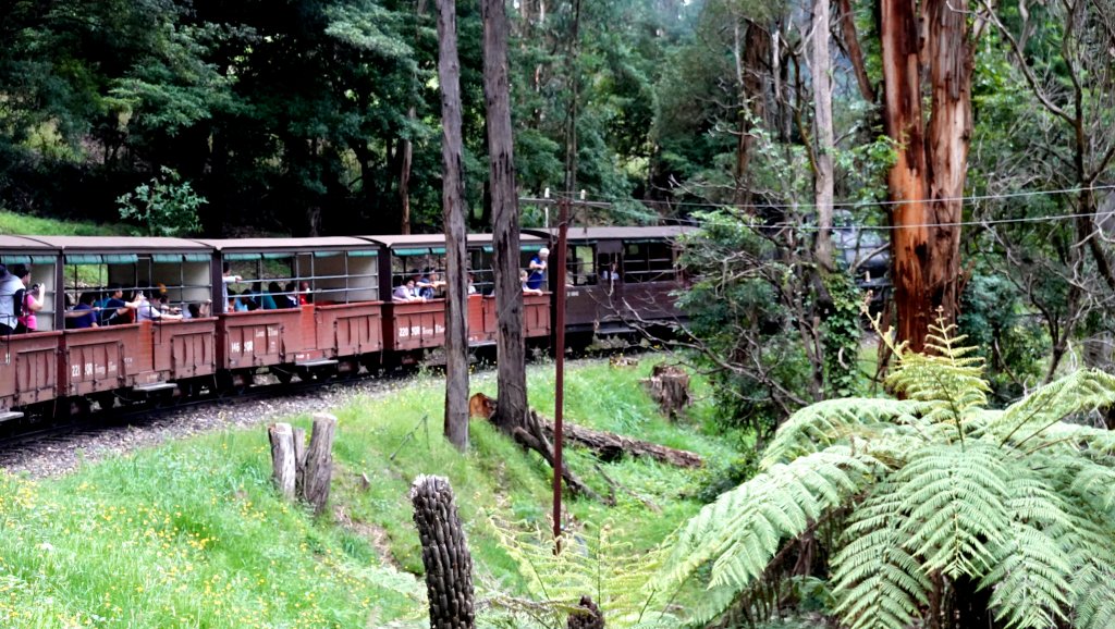 DSC00650.JPG