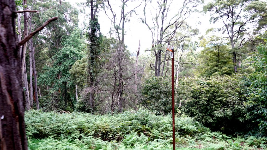 DSC00653.JPG