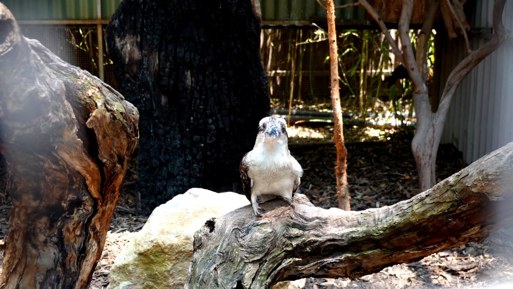 DSC00333.JPG
