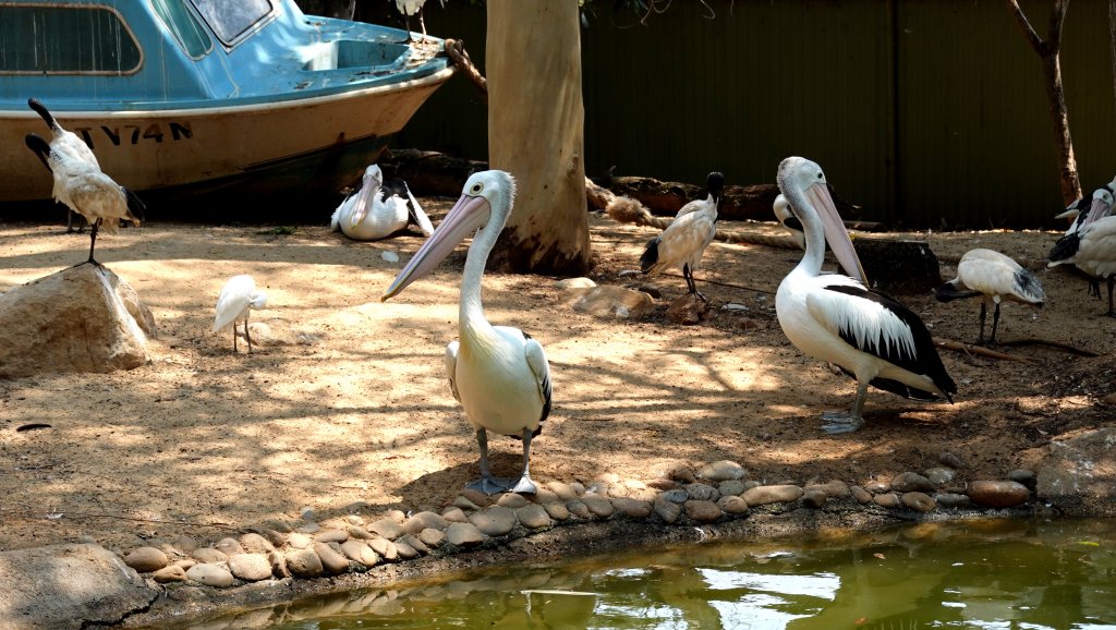 DSC00338.JPG