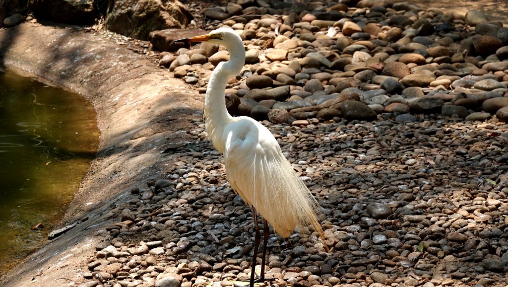DSC00340.JPG