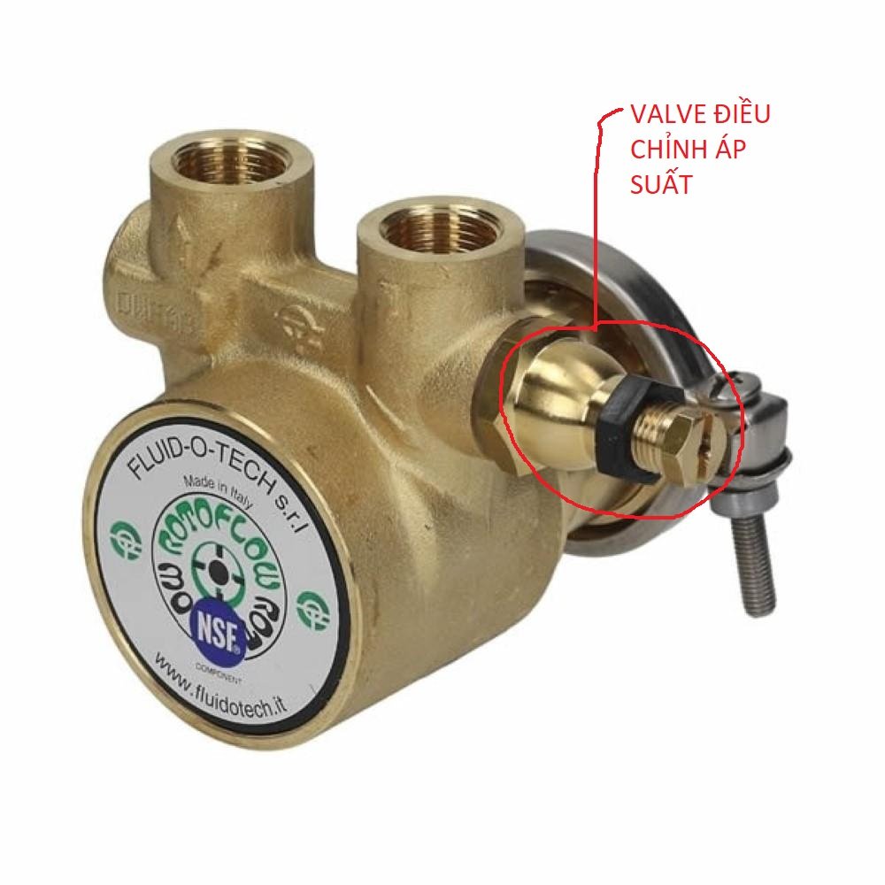 Fluid-O-Tech_Rotoflow_Rotary_Vane_Water_Pump.jpg