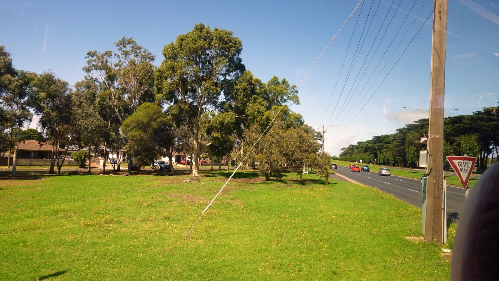 DSC00813.JPG