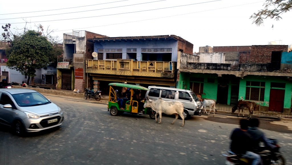 DSC06662.JPG