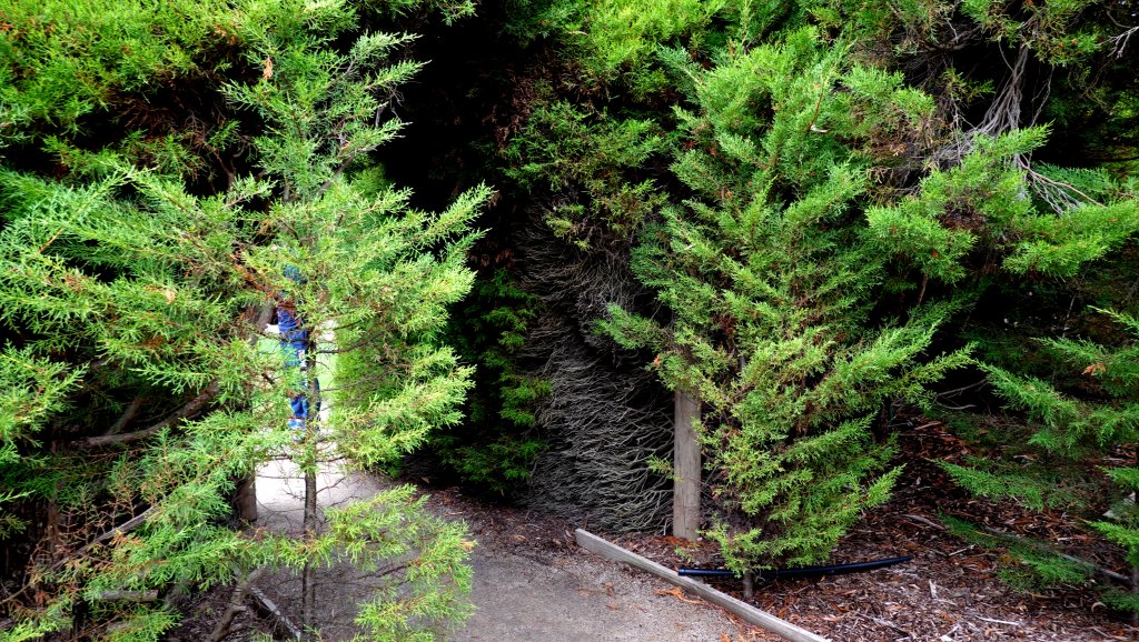 DSC00853.JPG