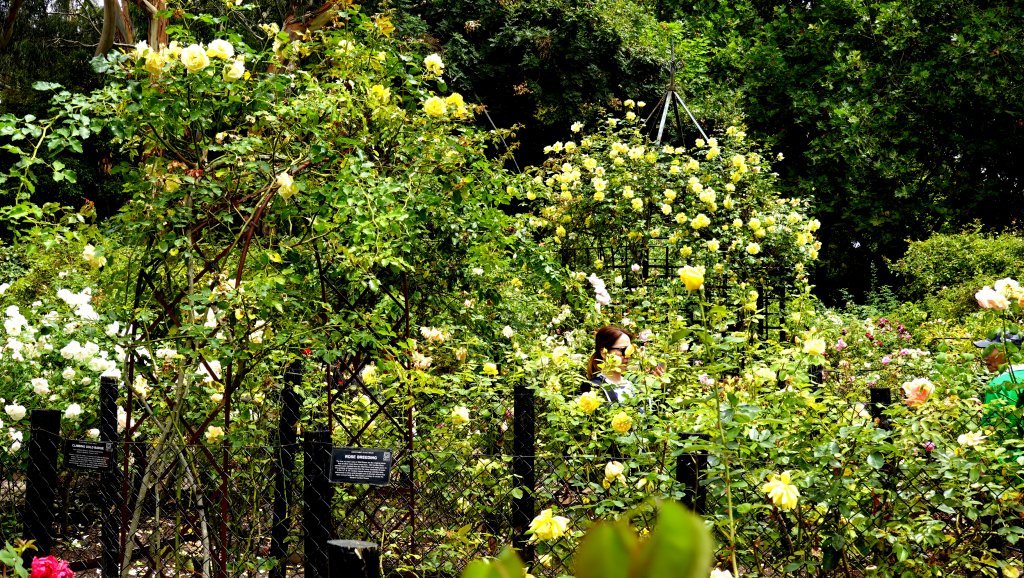 DSC00874.JPG