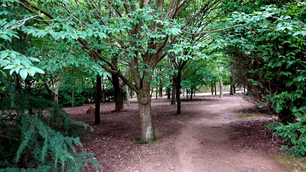 DSC00863.JPG