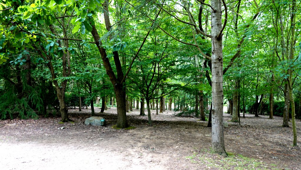 DSC00864.JPG