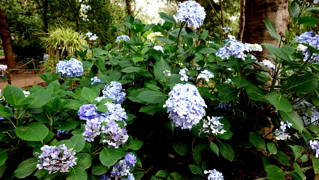 DSC00870.JPG