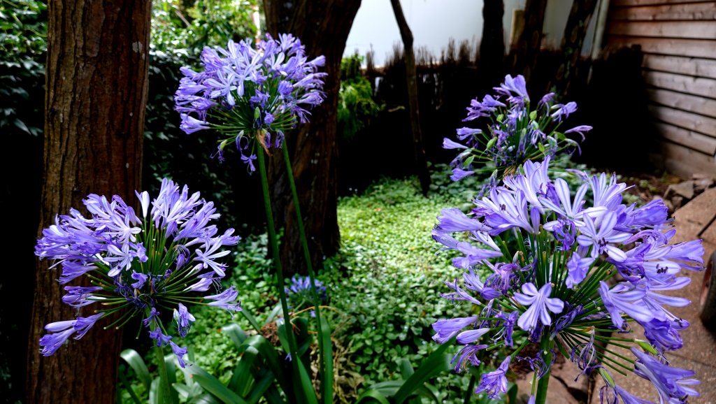DSC00895.JPG