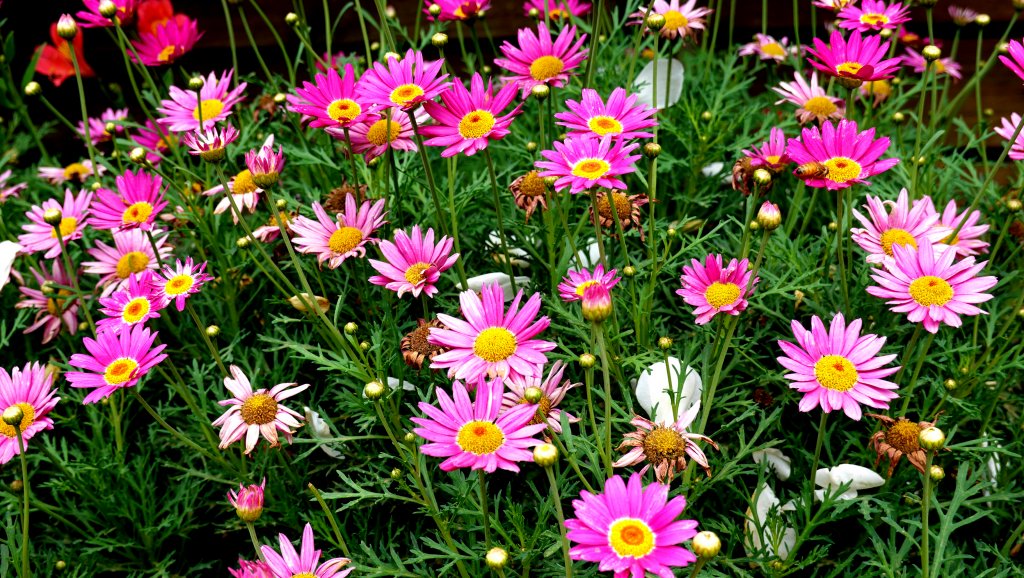 DSC00891.JPG