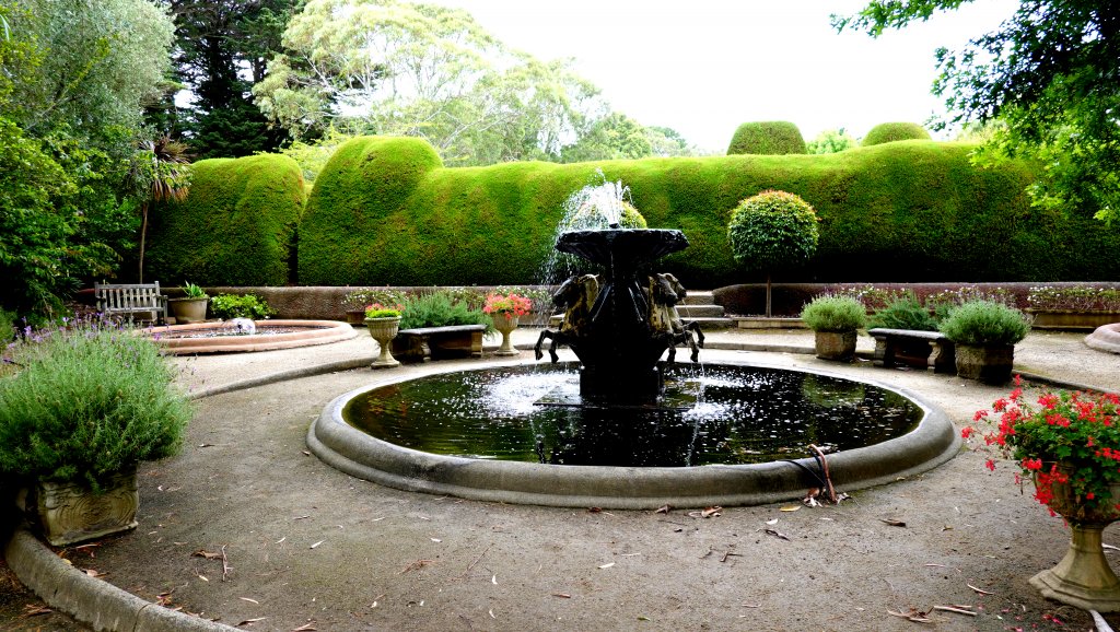 DSC00880.JPG