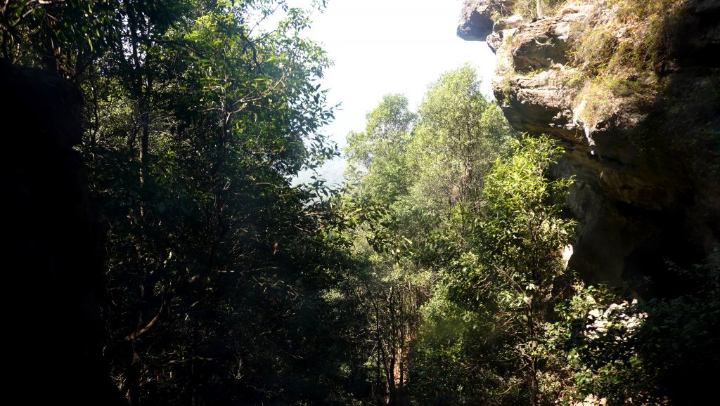 DSC00244.JPG