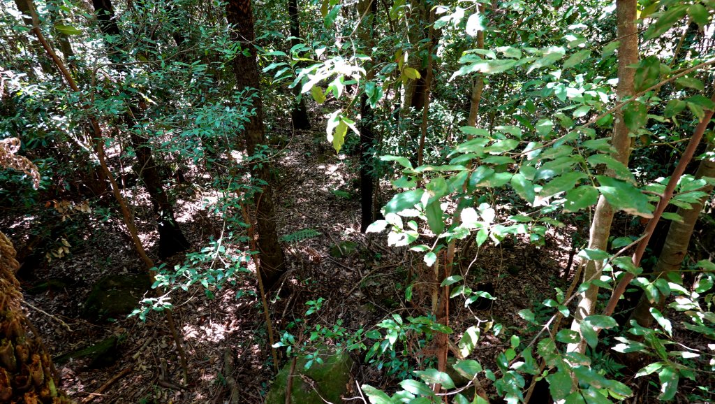 DSC00269.JPG